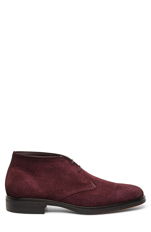 Santoni Chukka Boot In Burgundy