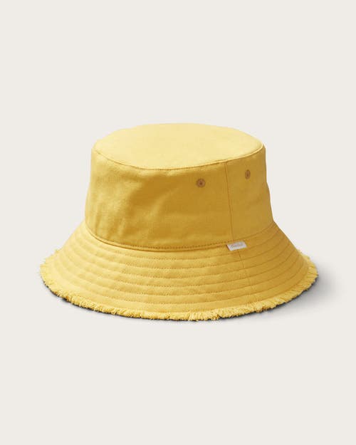 Shop Hemlock Coronado Bucket Hat In Yellow