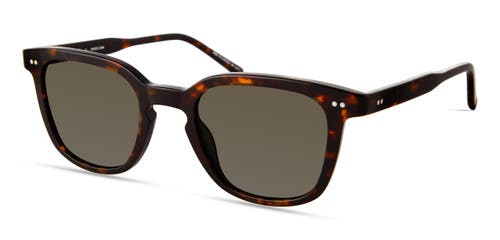 Modo 800 Sunglasses In Tortoise