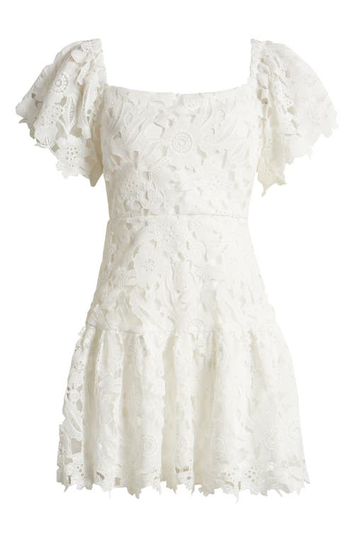 Shop Chelsea28 Flutter Sleeve Lace Minidress In Ivory Cloud