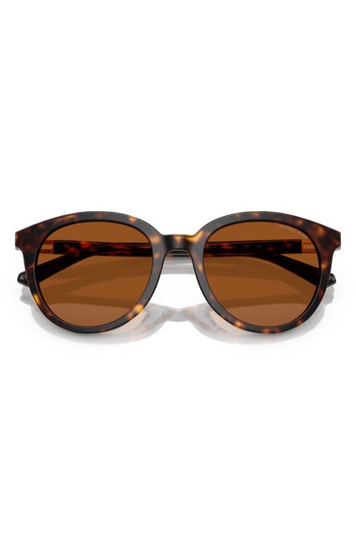 Michael Kors 53mm Round Sunglasses In Dk Tort