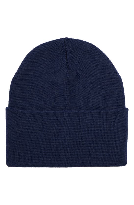 Ugg Knit Cuff Beanie In Navy