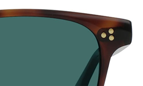 Raen Alvez 50mm Polarized Square Sunglasses In Kola Tort/pacifica