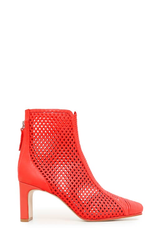 Daniella Shevel Harper Sandal In Red