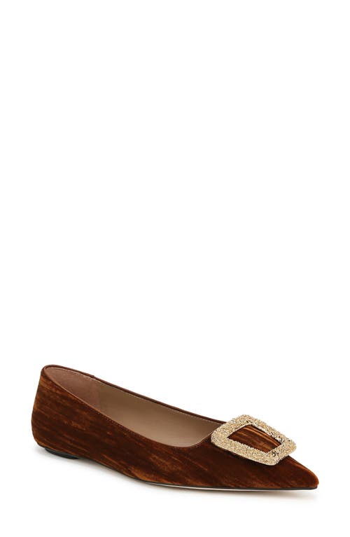 Sam Edelman Nico Pointed Toe Flat in Spiced Camel 