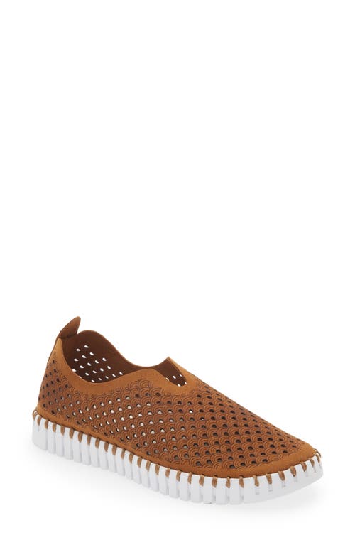 Tulip 139 Perforated Slip-On Sneaker in Cashew