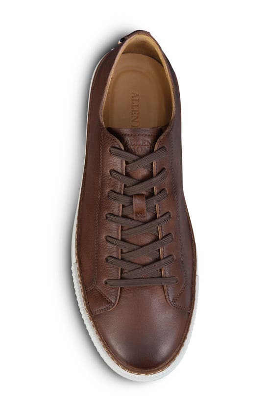 Shop Allen Edmonds Paxton Low Top Sneaker In Dark Brown