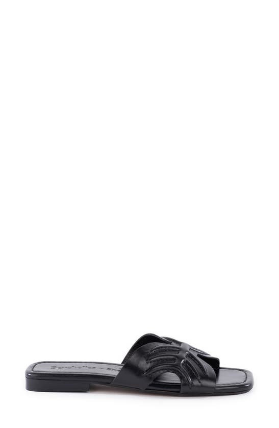 Seychelles Madhu Slide Sandal In Black
