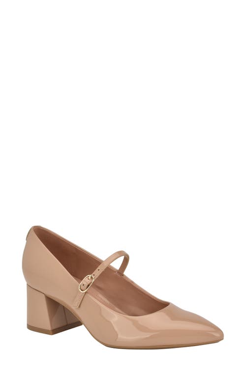 Calvin Klein Leora Pointed Toe Mary Jane Pump at Nordstrom,