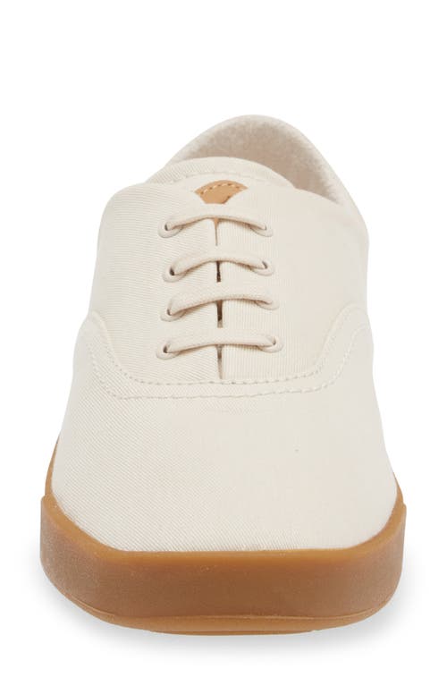 Olukai Kohu Sneaker In Puka/puka