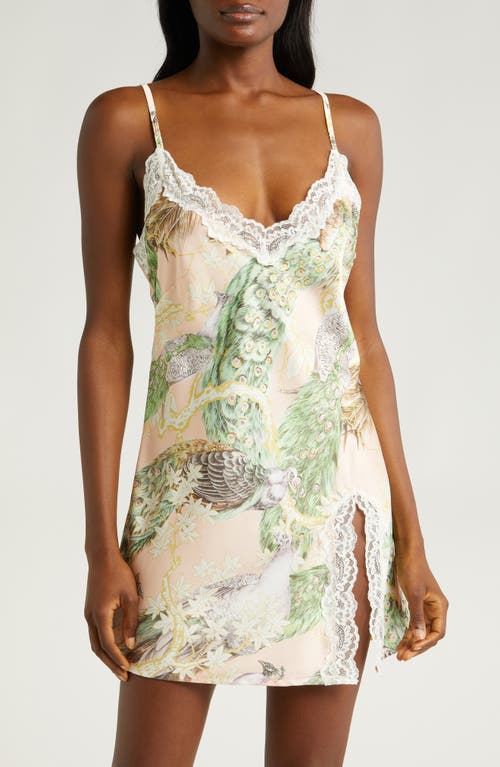 KILO BRAVA Lace Trim Print Chemise Poised Peacock at Nordstrom,