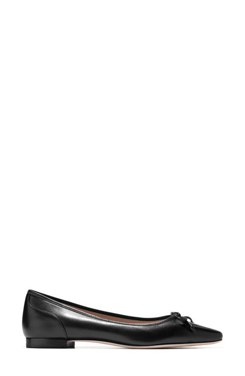 COLE HAAN COLE HAAN CHLEA POINTED TOE BALLET FLAT