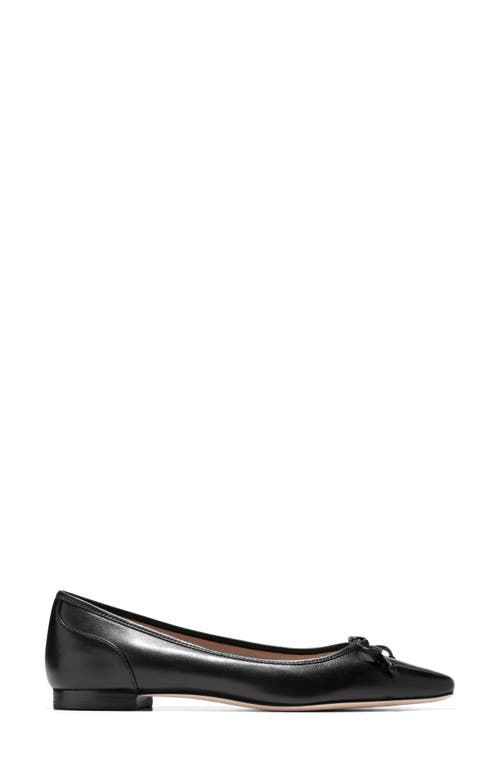 Shop Cole Haan Chlea Pointed Toe Ballet Flat In Black Leather