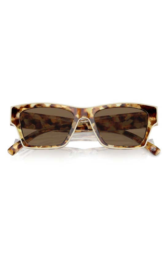 Tory Burch Women's 0ty7207u 53mm Rectangular Sunglasses In Dark Brown