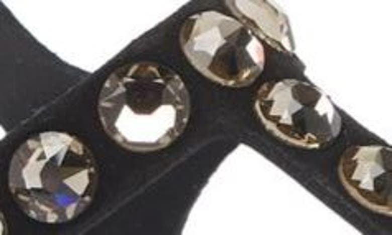 Pedro Garcia Judith Crystal Stud Sandal In Black Castoro