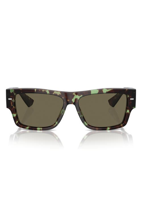 Dolce & Gabbana 55mm Rectangular Sunglasses in Brown at Nordstrom