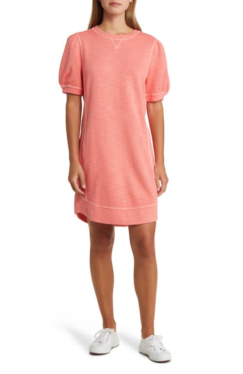 gray dress sweater Grey Off-Shoulder Sweater Dress