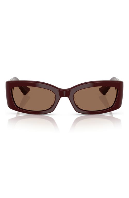 Oliver Peoples X Khaite 54mm Pillow Sunglasses In Brown