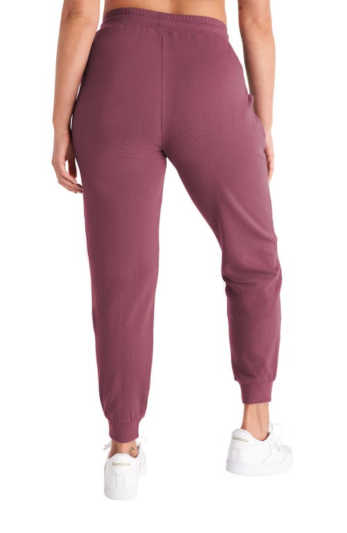 Shop The Standard Stitch The Everyday Jogger In Plum