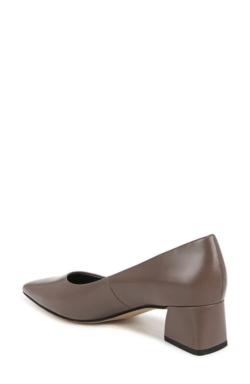 Shop Franco Sarto Racer Pointed Toe Pump In Brown