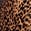 selected Leopard Print color