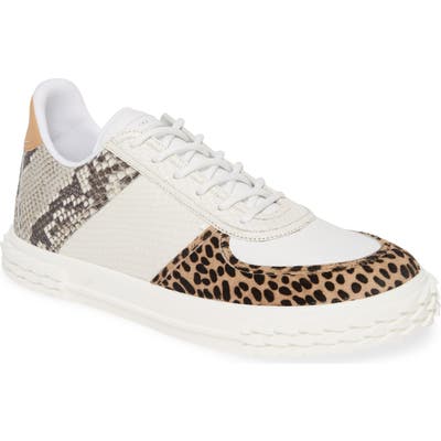 Giuseppe Zanotti Blabber Sneaker, Brown