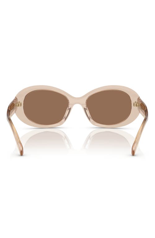 Tory Burch 53mm Oval Sunglasses In 19547353 Dark Brown
