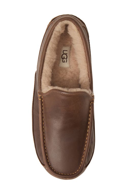 Ugg(r) Ascot Leather Slipper In Tan Leather