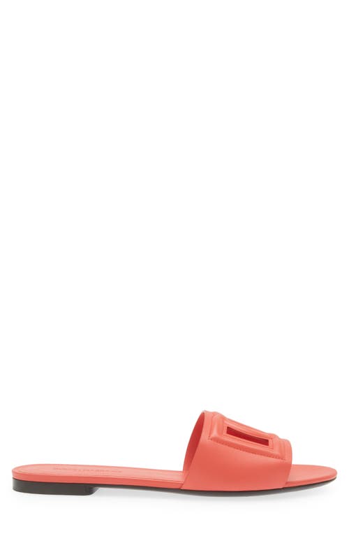 Dolce & Gabbana Dolce&gabbana Bianca Interlock Slide Sandal In Corallo