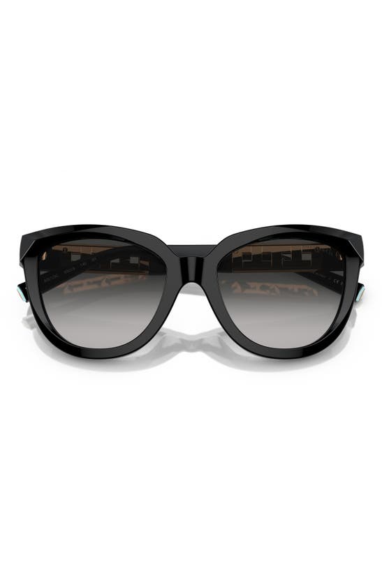 Tiffany & Co . 53mm Gradient Cat Eye Sunglasses In Black