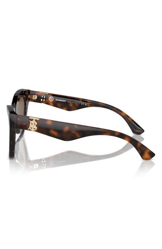 Shop Burberry 55mm Cat Eye Sunglasses In Dark Havana