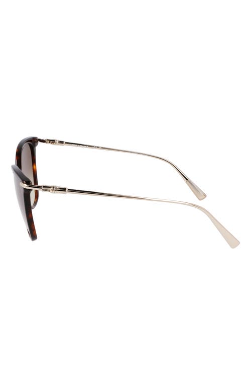 Longchamp Roseau 55mm Rectangular Sunglasses In Dark Havana