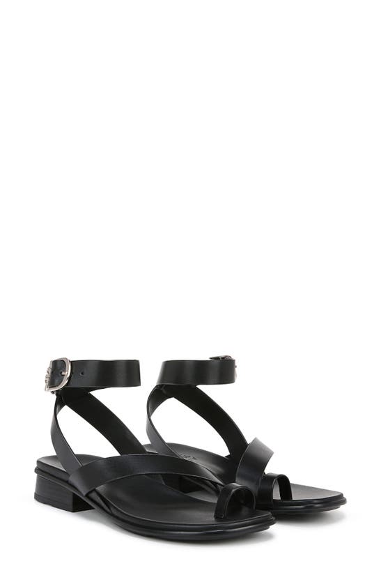 Shop Naturalizer Birch Ankle Strap Sandal In Black Leather