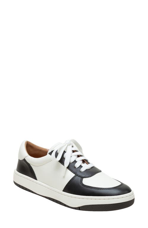 Krista Sneaker in Eggshell/Black