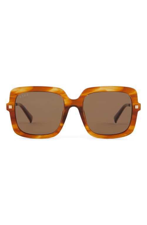 Sandra 54mm Polarized Square Sunglasses in Brown