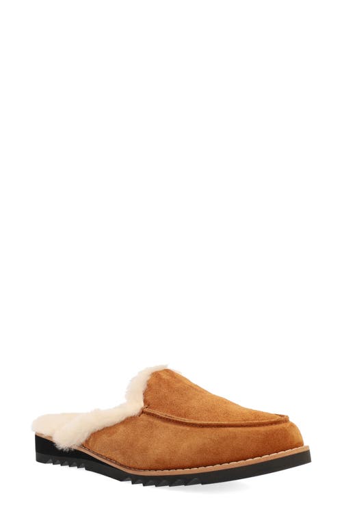Eileen Fisher Frost Genuine Shearling Lined Clog in Chestnut