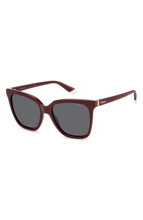 Shop Polaroid 55mm Polarized Square Sunglasses In Burgundy/gray Polarized