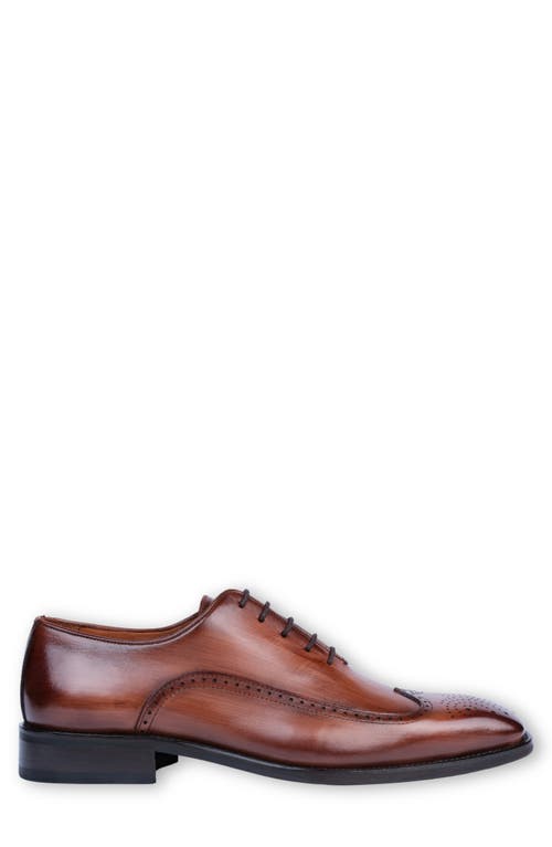 Vellapais Caddy Medallion Wingtip Oxford In Cognac