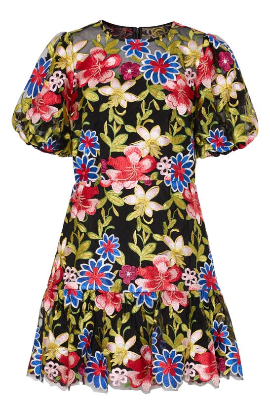 Shop Milly Yasmin Floral Embroidered Puff Sleeve Mesh Dress In Red Multi