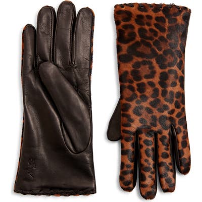 Polo Ralph Lauren Leopard Print Genuine Calf Hair Gloves, Black