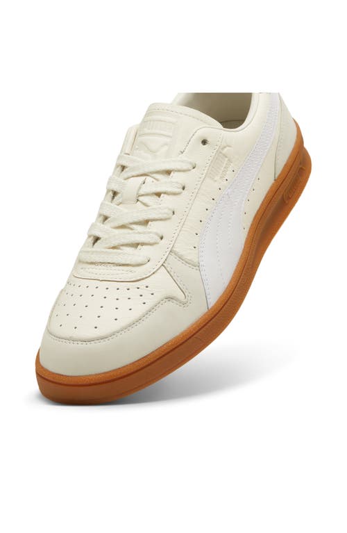 Shop Puma Indoor Og Sneaker In Frosted Ivory- White