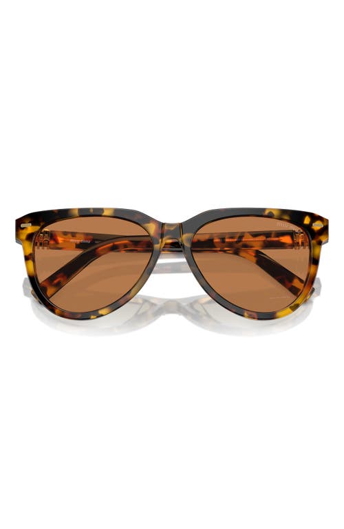 Miu Miu 56mm Phantos Sunglasses In Blond Havana