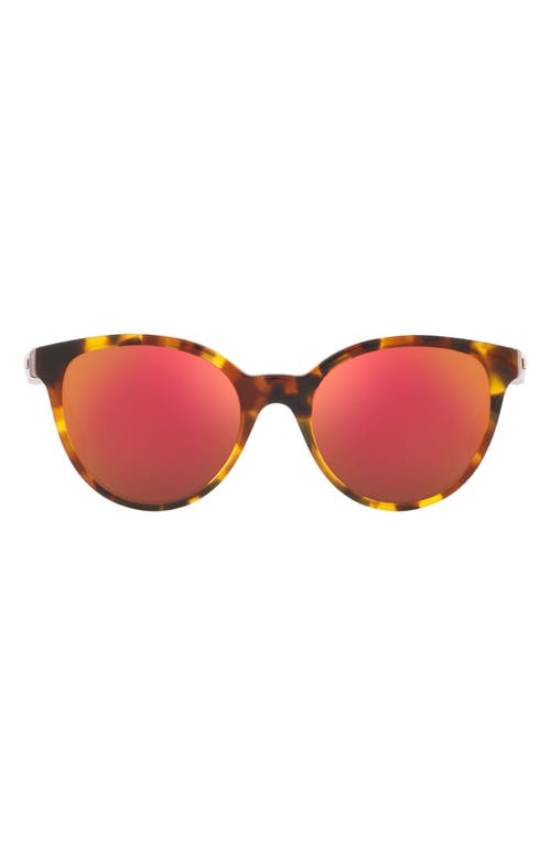 Shop Versace Kids' Phantos 46mm Small Round Sunglasses In Havana/dark Violet Red