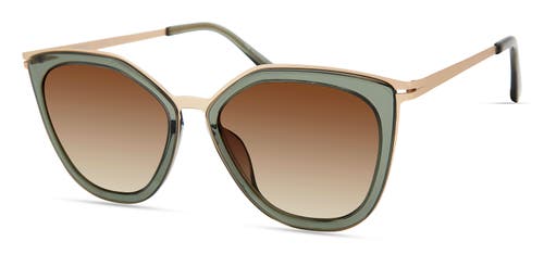Modo 463 Sunglasses In Dark Forest