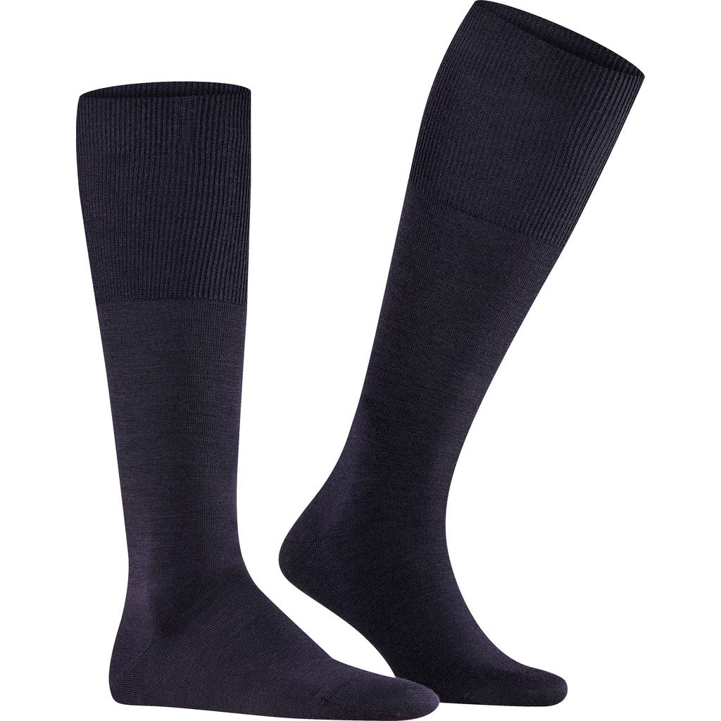 Shop Falke Airport Knee High Socks In Dark Navy