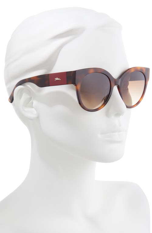 Shop Longchamp 53mm Gradient Round Sunglasses In Havana/brown Gradient