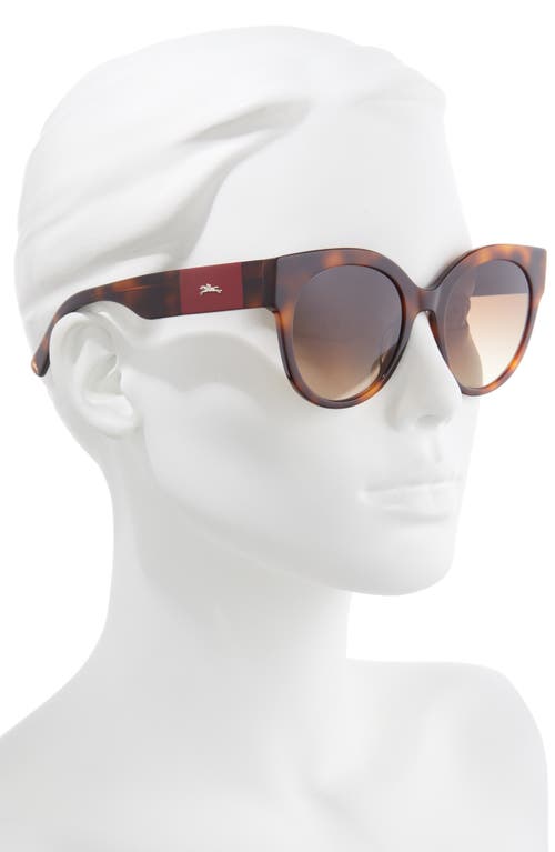 Longchamp 53mm Gradient Round Sunglasses In Havana/brown Gradient
