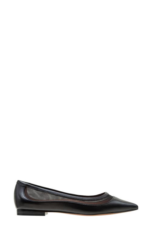 Linea Paolo Novah Pointed Toe Flat In Black