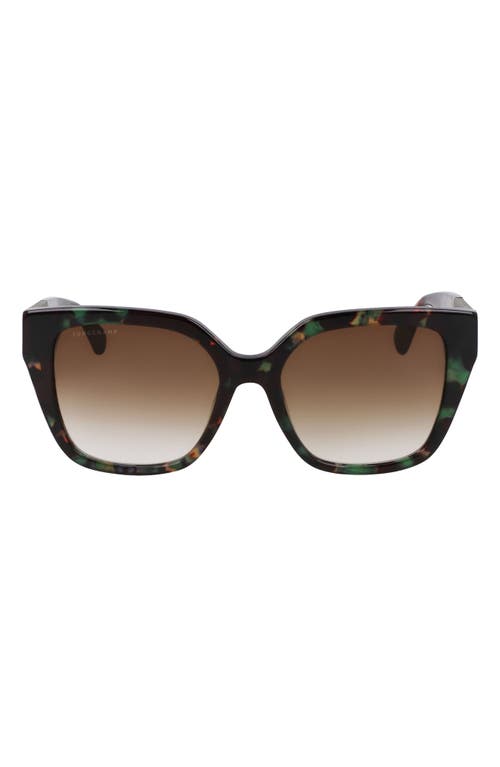 Shop Longchamp Roseau 54mm Butterfly Sunglasses In Green Havana