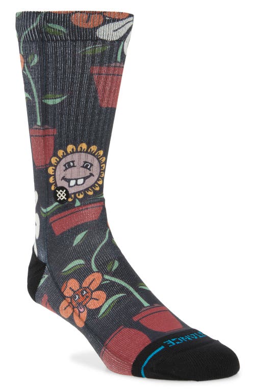 Shop Stance Planted Flowerpot Print Socks In Black